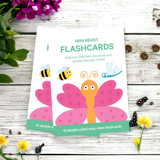 Minibeasts Flashcards - HD Lifestyle